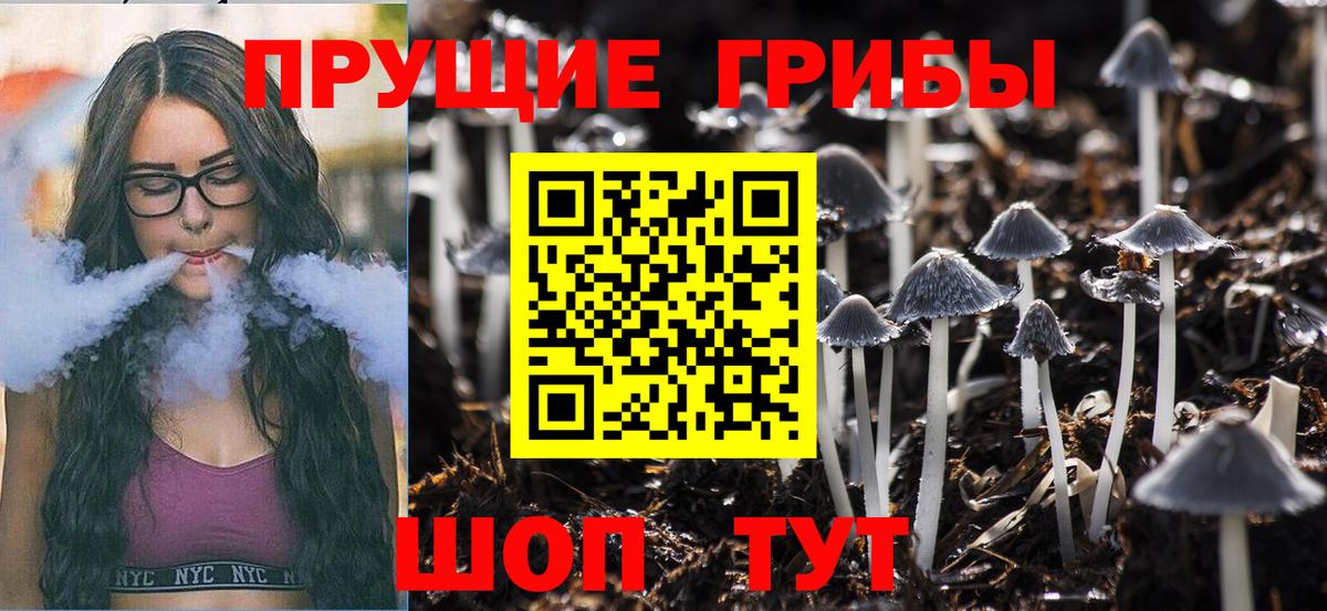 Галлюциногенные грибы Magic Shrooms  Псилоцибиновые грибы Psilocybe  Вход с VPN  Новотроицк 
